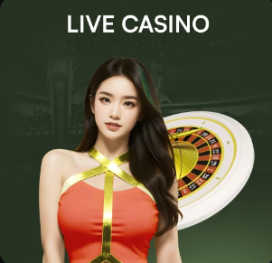 战国足失利后迅速调整，库拉索前主帅回归球队担任顾问